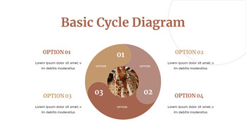 野生动物 谷歌演示模板_20