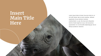 野生动物 谷歌演示模板_24