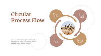 野生动物 谷歌演示模板_29