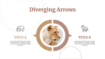 野生动物 谷歌演示模板_36