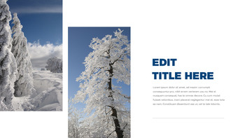 Winter Simple Slides Design_19