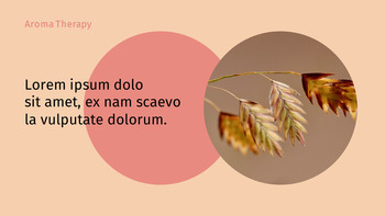 芳香疗法 幻灯片模板_07