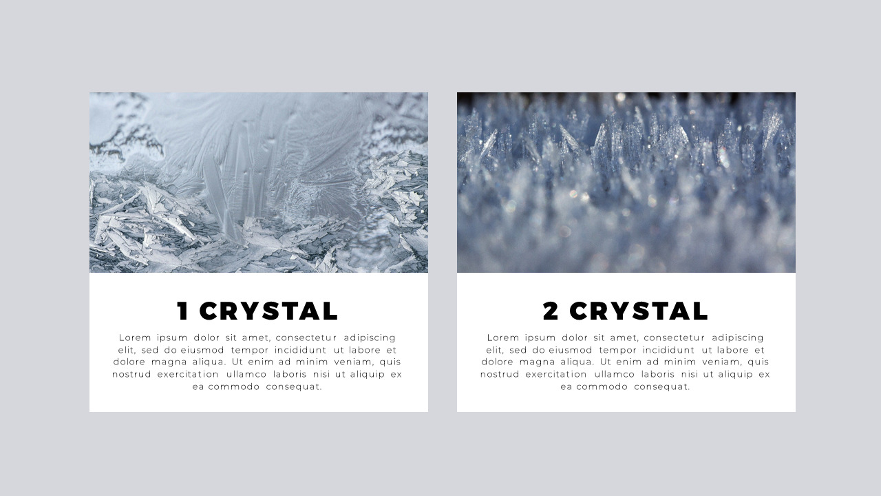 Frozen Google SlidesNature