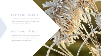 Winter Grass team presentation template_22