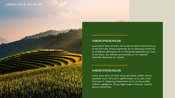 agricoltura Google diapositive a PowerPoint_05