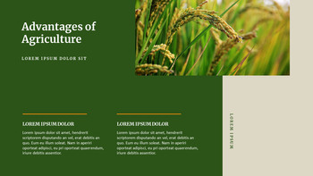 Agriculture Google Slides to PowerPoint_06