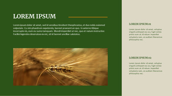 agricoltura Google diapositive a PowerPoint_08