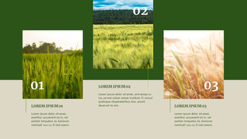 Agriculture Google Slides to PowerPoint_12