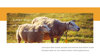 Cattle Farm Simple Google Presentation_05