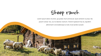 Cattle Farm Simple Google Presentation_20