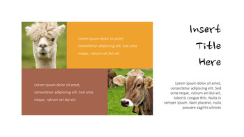 Cattle Farm Simple Google Presentation_33