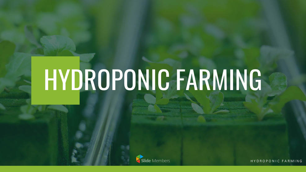 Hydroponic Gardening Best Google Slides_01