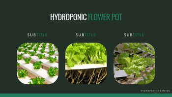 Hydroponic Gardening Best Google Slides_17