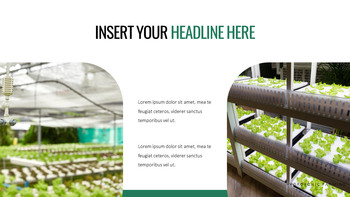 Hydroponic Gardening Best Google Slides_19