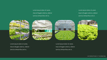 Hydroponic Gardening Best Google Slides_20