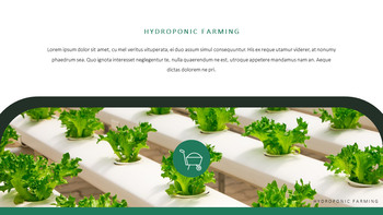 Hydroponic Gardening Best Google Slides_25