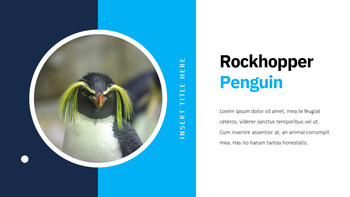 Pinguino Google Slides Mac_07