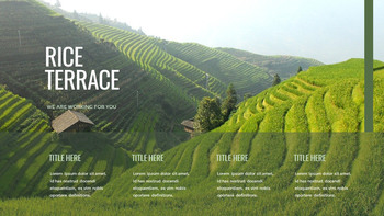 Rice Terrace Google Slides for mac_12