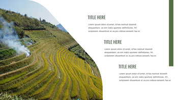 Rice Terrace Google Slides for mac_23