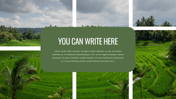 Rice Terrace Google Slides for mac_25