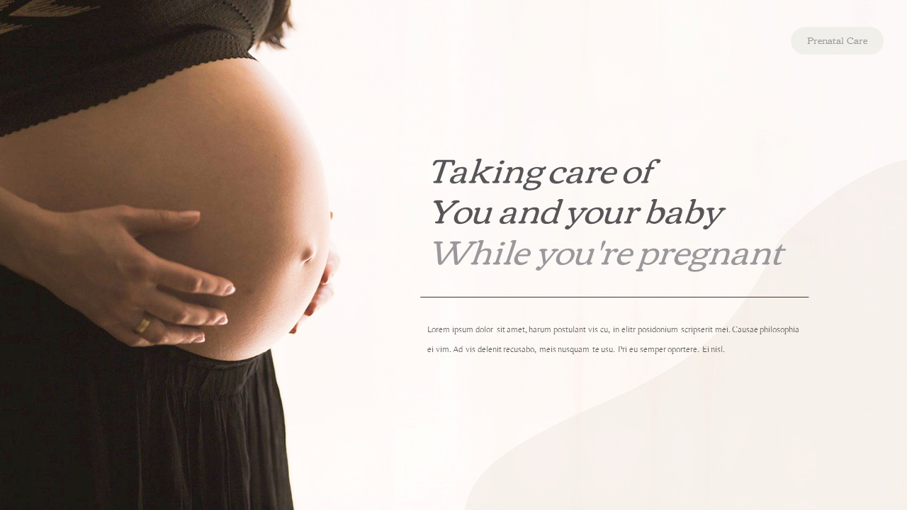 maternity clothing business plan ppt