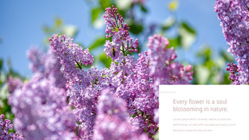 花与蜜蜂 公司简介模板设计_05