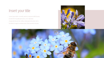 花与蜜蜂 公司简介模板设计_07