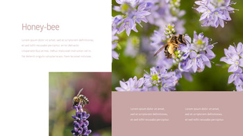 花与蜜蜂 公司简介模板设计_08