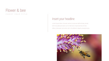 花与蜜蜂 公司简介模板设计_10