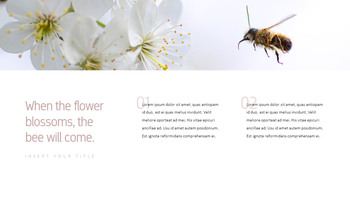 花与蜜蜂 公司简介模板设计_13