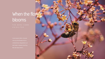 花与蜜蜂 公司简介模板设计_15