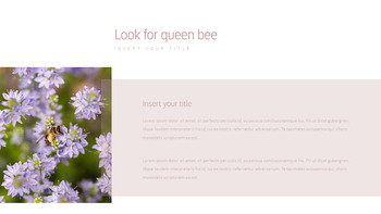 花与蜜蜂 公司简介模板设计_17