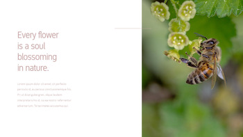 花与蜜蜂 公司简介模板设计_19