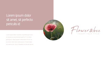 花与蜜蜂 公司简介模板设计_22