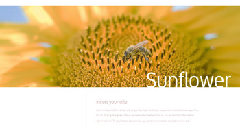 花与蜜蜂 公司简介模板设计_24