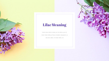 Lila Diapositivas PPT_15