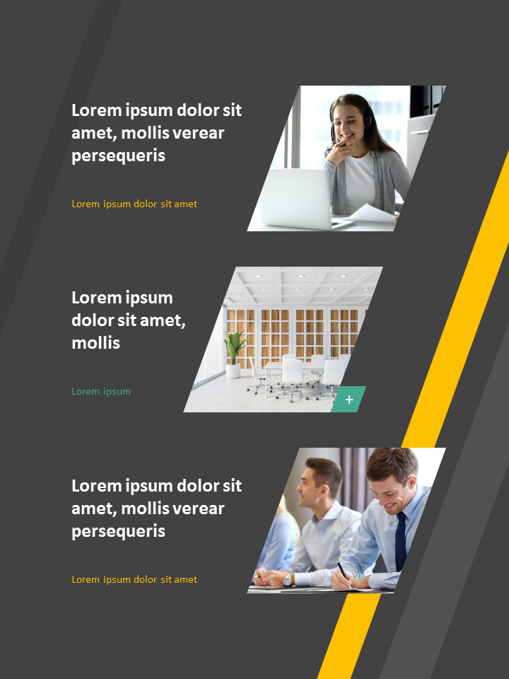 Professional Business Report Presentation