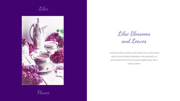 Lilac Google Slides Presentation Templates_06