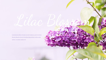 Lilac Google Slides Presentation Templates_08