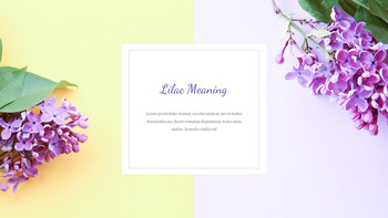 Lilac Google Slides Presentation Templates_15