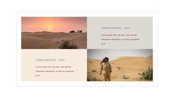 Dubai Design brief Templates_17