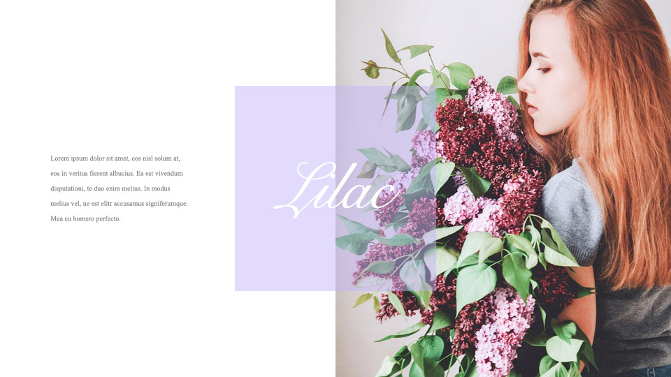 Lilac Keynote PowerPoint|Lifestyle