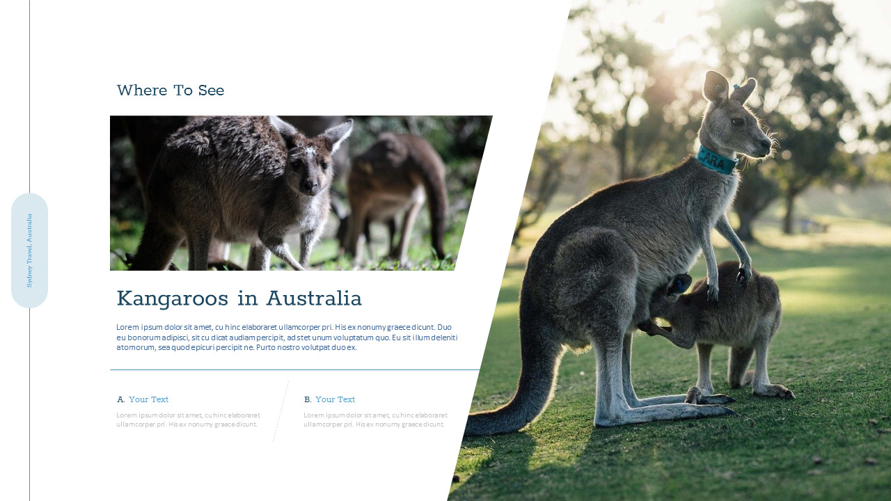 Sydney Travel, Australia Google Slides Themes for PresentationsLifestyle