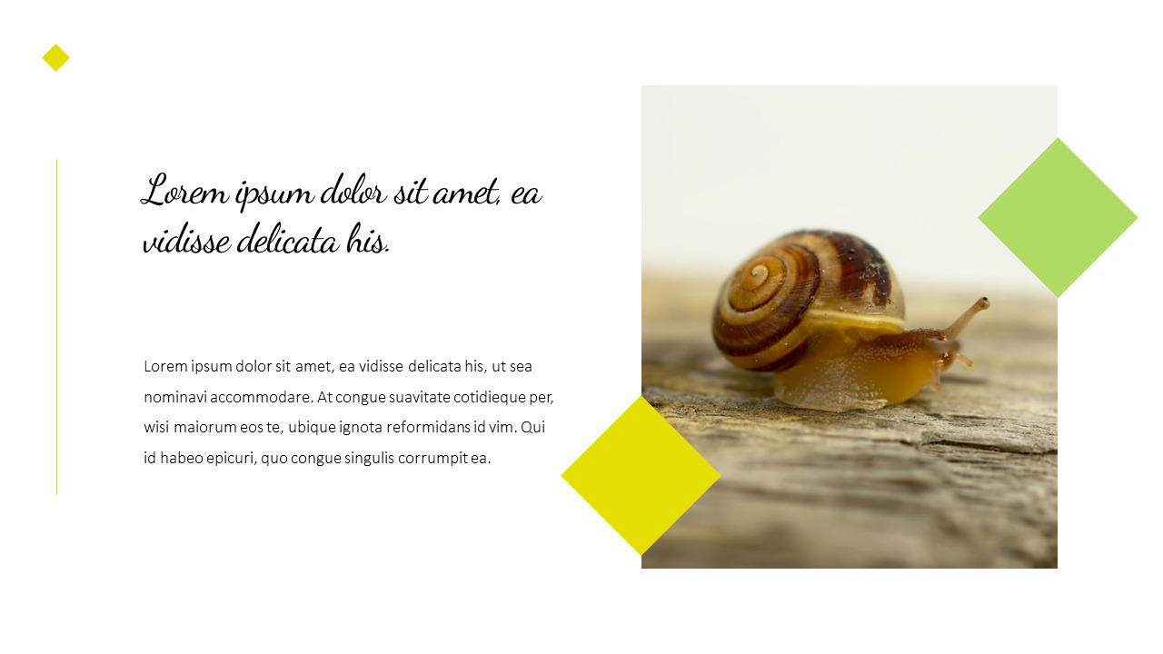Snail presentation slide design|Lifestyle|Google