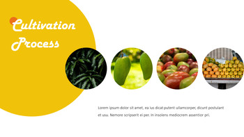 芒果 PowerPoint设计思想_08