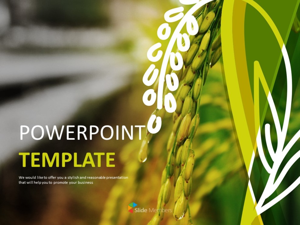 Plantilla de PowerPoint gratis - Una espiga de arroz_01