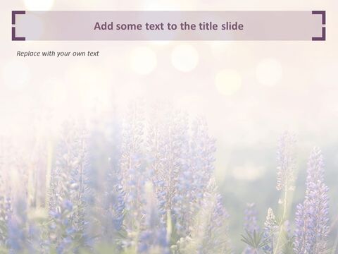 Free Template Design - Purple Lavender
