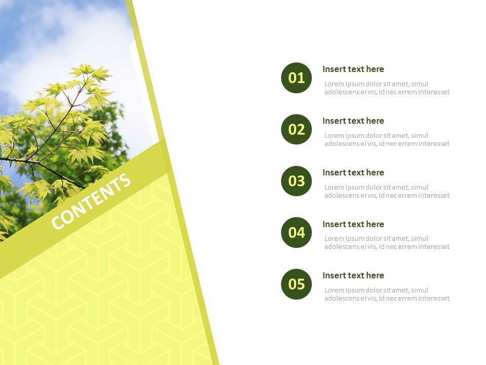 Green Leaves - Free Presentation Templates_02