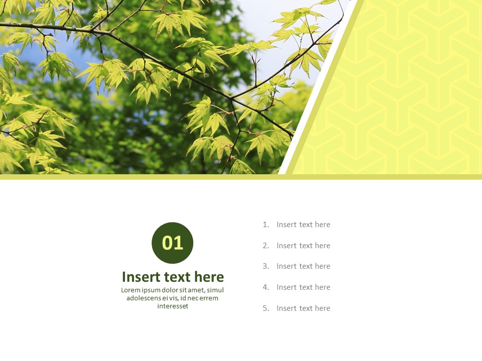 Green Leaves - Free Presentation Templates_03