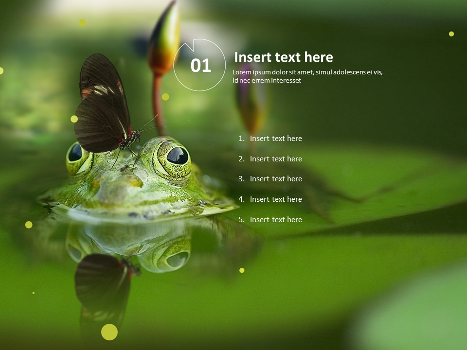 Nature Environment - Free PPT Template_03